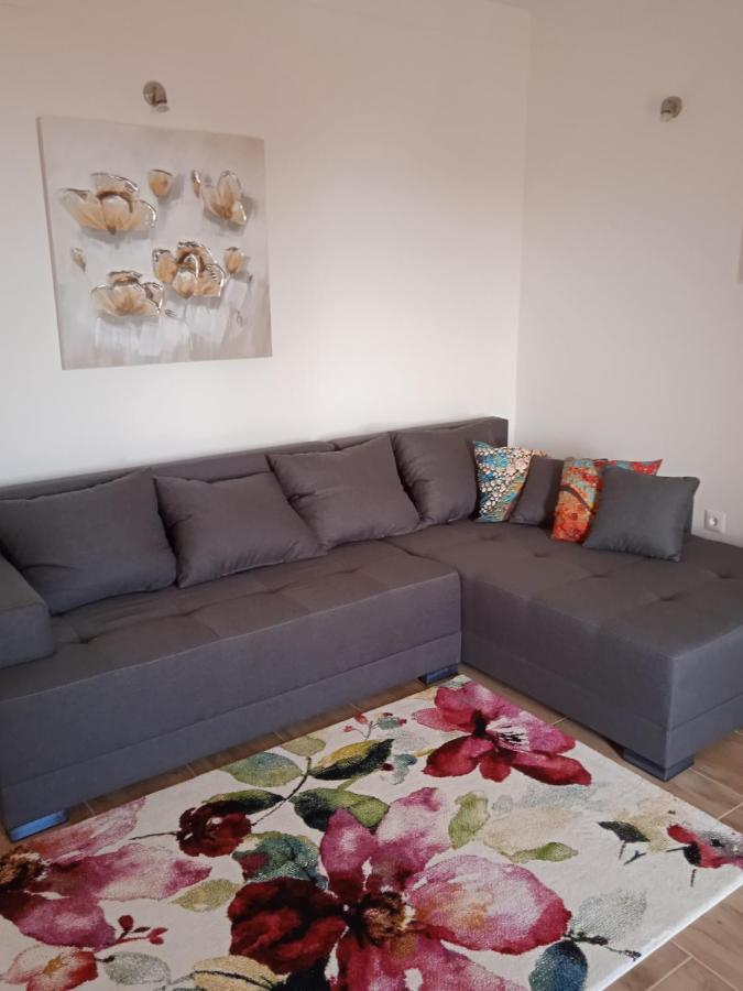 Gordana Apartment Rijeka Luaran gambar